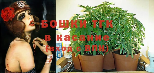 дживик Армянск